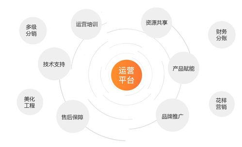 小生意，大未来 软件技术推广服务的无限可能